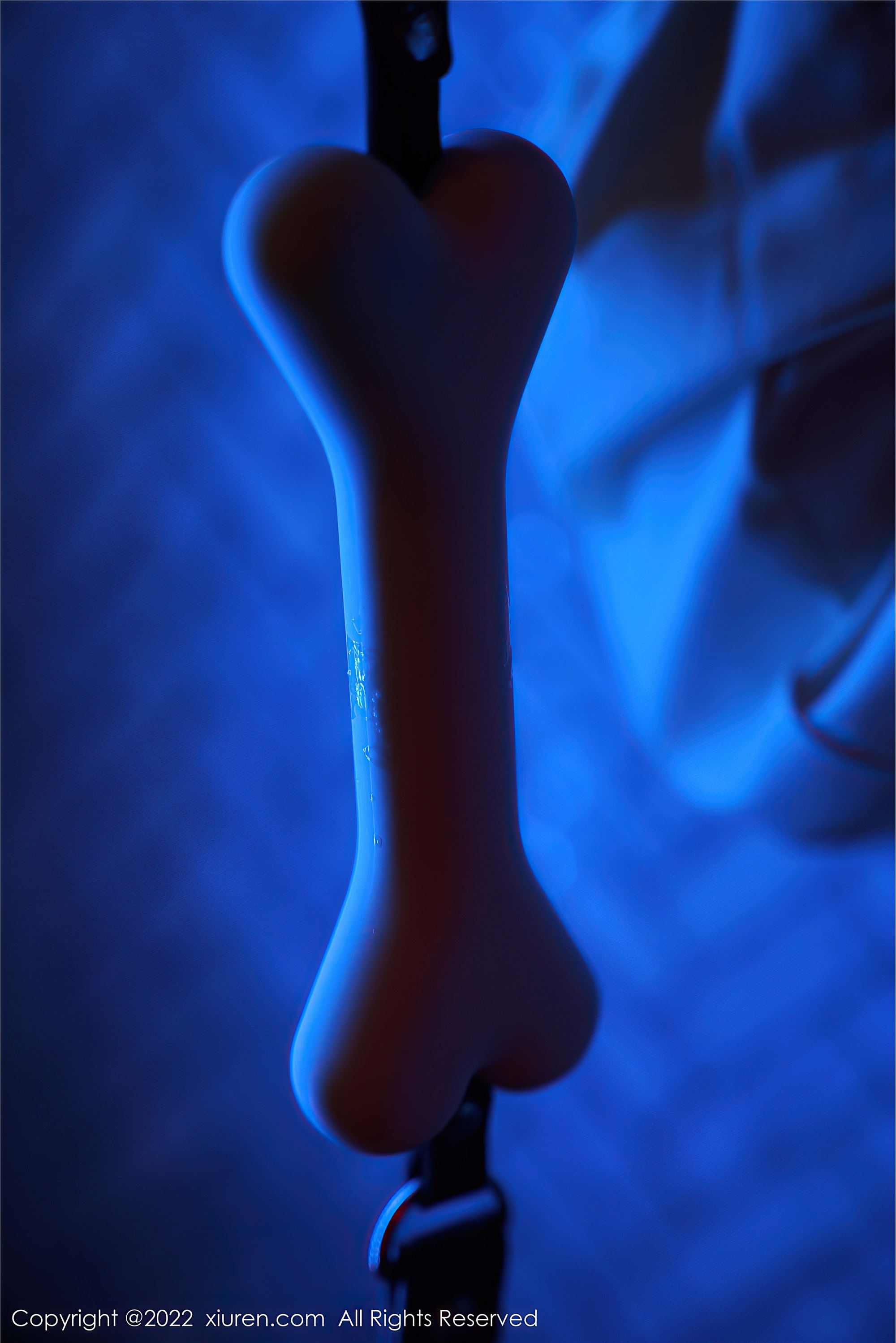 Xiuren秀人网 2022.05.10 NO.4986 仓井优香